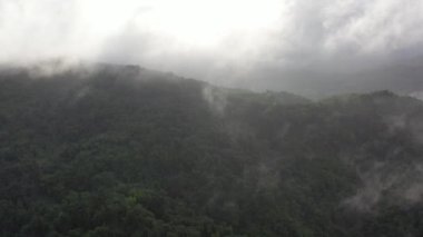 Yeşil dağların üzerinde sisli, gri bulutlu bir gökyüzünün güzel manzarası.