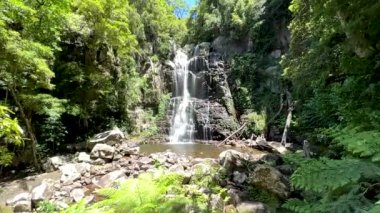 Güzel bir şelale ve nehir kayalık dağdan düşüyor. Parkta ağaçlar var.
