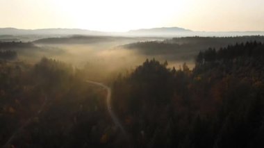 Sonbaharda renkli ağaçlarla kaplı dağlık bir arazinin büyüleyici bir görüntüsü.