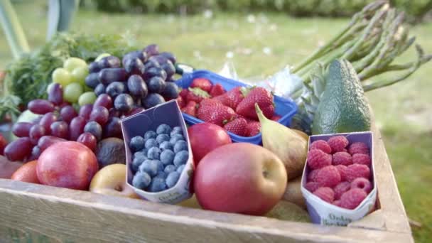 Close Frutas Legumes Maduros Colhidos Uma Caixa — Vídeo de Stock