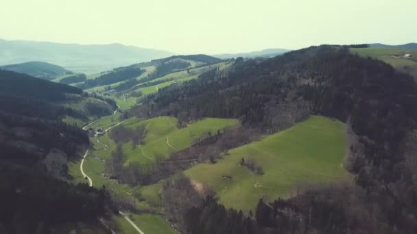 Luchtfoto Van Het Zwarte Woud Duitsland Freiburg Schwarzwald — Stockvideo