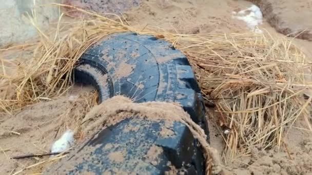 ビーチでの古いタイヤの眺め 環境汚染 — ストック動画