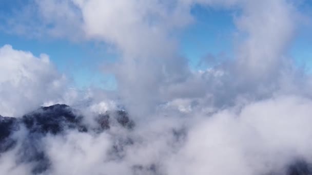 Гора Виста Острова Мид Ванкувер Британская Колумбия Канада — стоковое видео