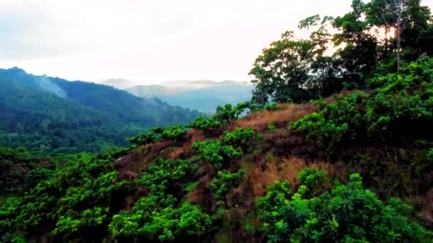 張州市アモイの緑豊かな風景の上を飛ぶドローンの4K — ストック動画