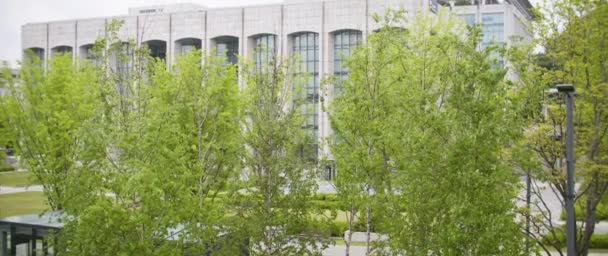 Una Vista Panorámica Árboles Verdes Parque Contra Edificio Moderno Seúl — Vídeo de stock