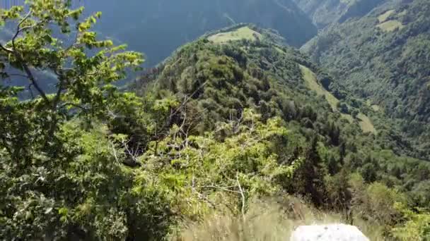 在被茂密的森林环绕着的伯加马式的绿色阿尔卑斯山上 空中缓慢的移动 — 图库视频影像