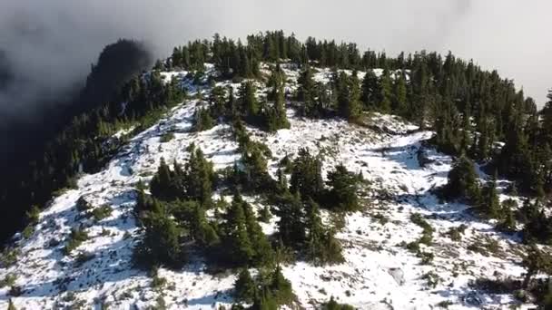 Snow Forested Mountain Summit Aerial Vancouver Island Canadá — Vídeos de Stock