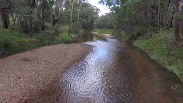 Een Beeldmateriaal Van Een Rivier Stroomt Het Bos Drip Gorge — Stockvideo