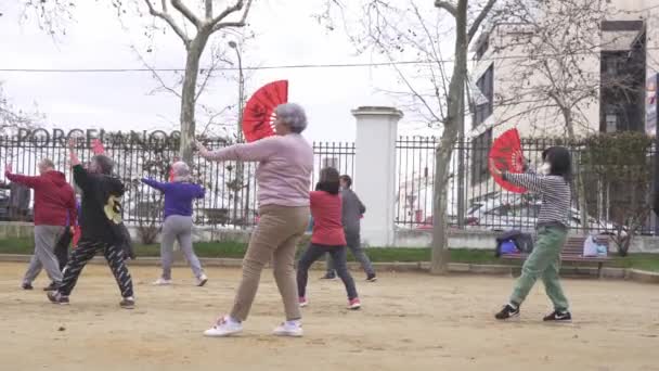 Étudiants Pratiquant Taichi Dans Parc — Video