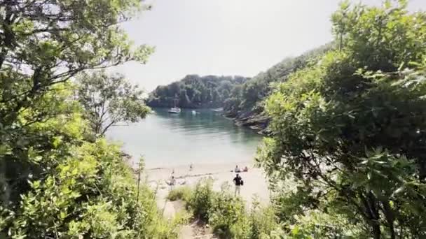 Krásný Záběr Zelených Stromů Vedle Pláže Churston Cove Lidmi Plavajícími — Stock video
