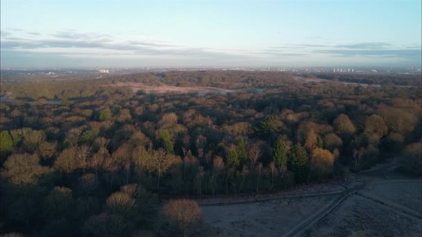 Riprese Aeree Dei Droni Del London Park Inverno All Ora — Video Stock