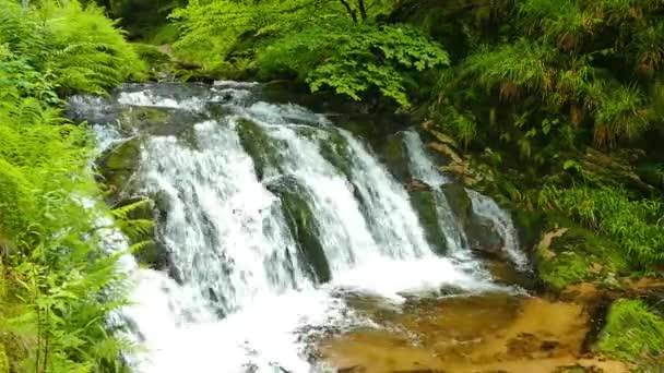Une Belle Vue Sur Cascade Toussaint Dans Une Forêt Oppenau — Video