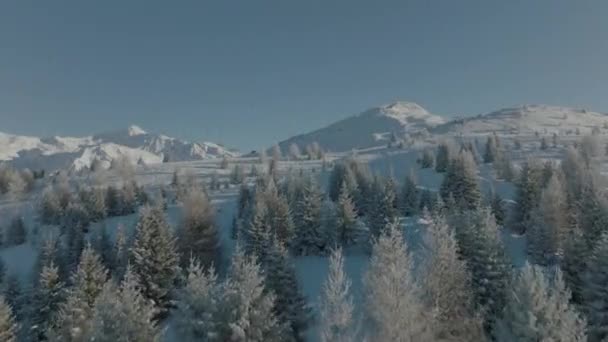 萨沃伊 法国滑雪站和大自然中的山谷的空中录像 冬季的山脉 — 图库视频影像