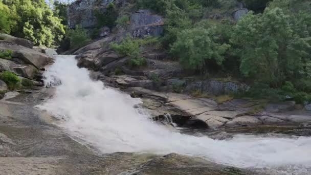 木々に囲まれた岩を流れるセガドの滝の急流のビデオ — ストック動画