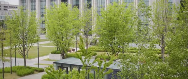 Een Schilderachtig Uitzicht Van Groene Bomen Een Park Tegen Een — Stockvideo