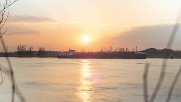 ベルギー シェルト川の美しい夕日のタイムラプス — ストック動画