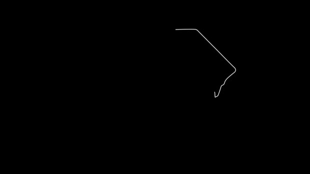 Mapa Estado Carolina Del Sur Carolina Del Sur Mapa Contorno — Vídeo de stock