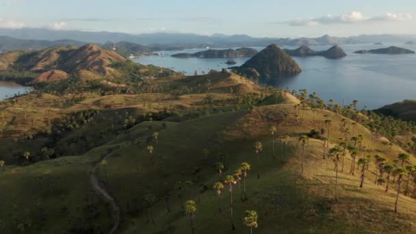 印度尼西亚弗洛雷斯岛的高山鸟瞰图 — 图库视频影像