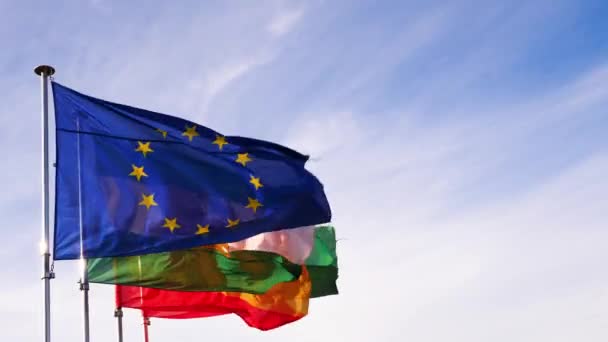Una Vista Bandera Europa Banderas Diferentes Países Ondeando Desde Viento — Vídeos de Stock