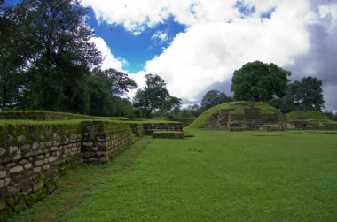 Iximche parkının güzel bir manzarası. Guatemala 'da tarlaları ve mavi gökyüzü olan ağaçlar.