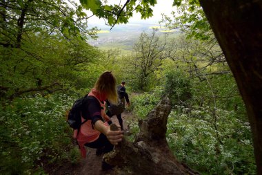 Ormanın ortasında yürüyüş yapanların yakın çekim görüntüsü.