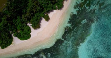 Güneşli bir günde, turkuaz bir denize karşı yeşillikle kaplı bir adanın havadan görünen görüntüsü.