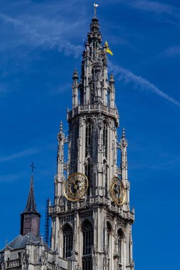 Leydimiz Antwerp, Belçika Katedrali 'nin dikey çekimi.