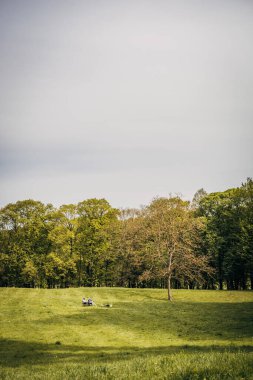 Marly-le-Roi, Fransa 'daki Domaine National de Marly parkının baharda dikey çekimi