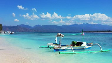 Arkasında dağlar olan kumlu bir sahile yakın bir katamaran.