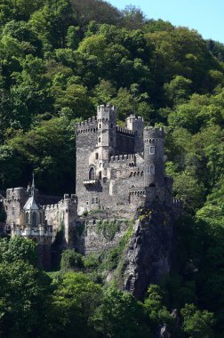 Rheinstein Kalesi, Trechtingshausen, Almanya dikey manzarası