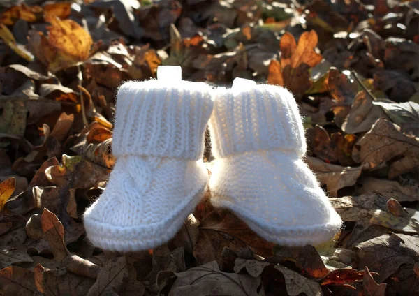 Closeup White Knitted Baby Booties Dry Leaves — Stock Photo, Image