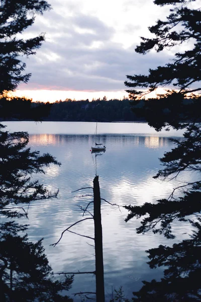 Una Vertical Barco Navegando Lago Rodeado Pinos Atardecer —  Fotos de Stock