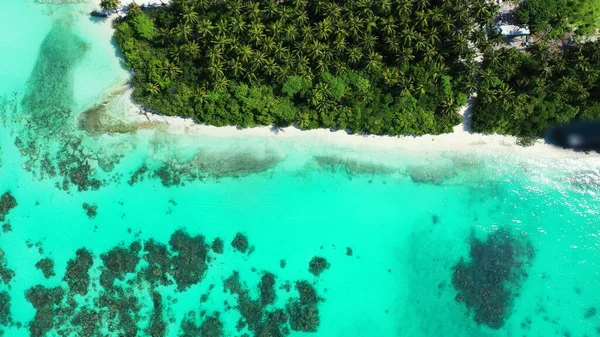 Disparo Aéreo Sobre Árboles Tropicales Verdes Por Tranquila Isla Agua — Foto de Stock