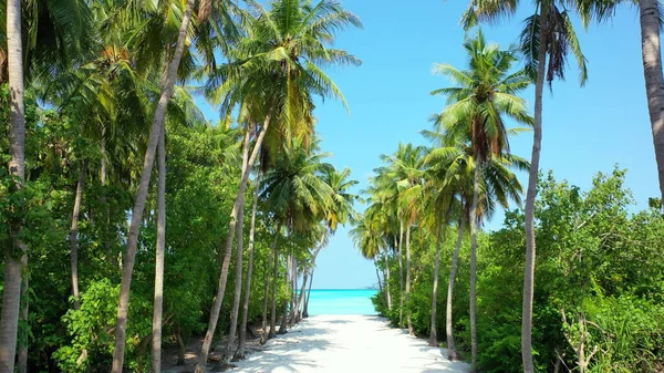 Ścieżka Plaży Malediwach — Zdjęcie stockowe
