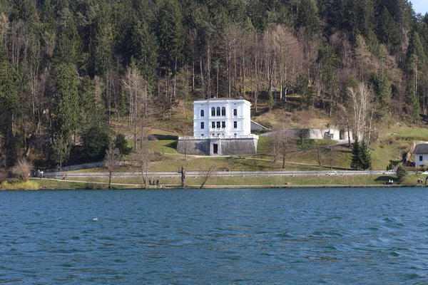 Una Vista Del Lago Bohinj Con Los Alrededores Los Alpes — Foto de Stock