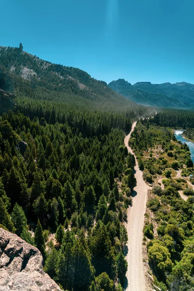 Une Vue Panoramique Verticale Une Route Près Forêt — Photo