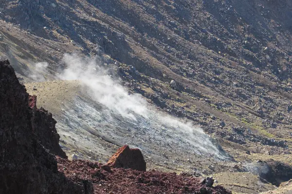 Utsikt Berglendte Åser Tongariro Nasjonalpark New Zealand – stockfoto