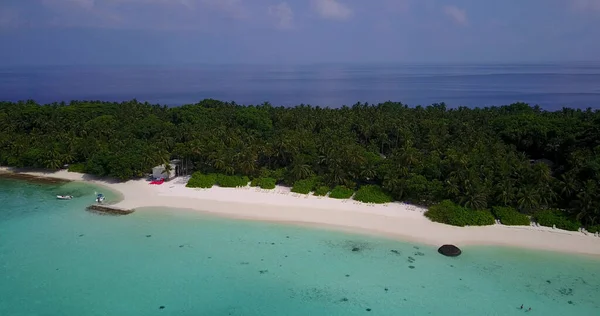 海の真ん中に木のある島の空中風景 — ストック写真