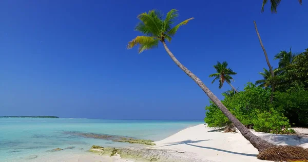 Uma Vista Fascinante Uma Praia Areia Com Árvores Dia Ensolarado — Fotografia de Stock