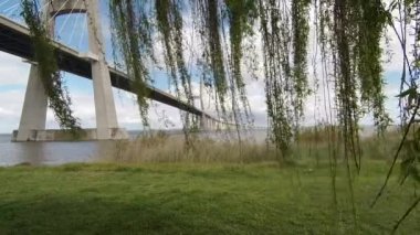 Portekiz, Lizbon 'daki Vasco da Gama köprüsünün yakınındaki sallanan ağaç dallarının yakın plan çekimi.