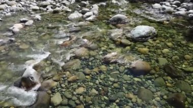 Kanada 'daki Lynn Canyon Parkı' nda kayaların üzerinden akan bir nehir.