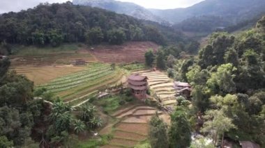 Tayland 'da güzel bir manzaraya yerleştirilmiş bir bambu kulübesinin drone görüntüsü..