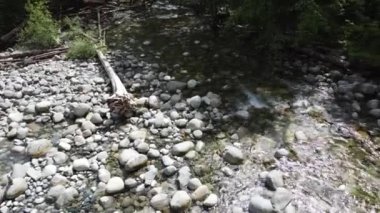 Kanada 'daki Lynn Canyon Parkı' nda kayaların üzerinden akan bir nehir.