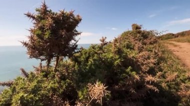 Hartland Rıhtımı 'ndaki uçurumdan okyanusa mavi bir manzara.