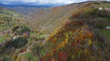 Gökyüzünde bulutlar olan dağ ormanlarının ve otlakların doğal bir manzarasının görüntüleri.