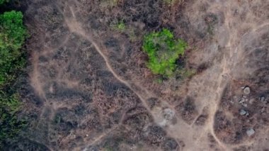 Kuru arazi ve yeşilliğin kuş bakışı görüntüsü