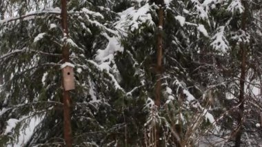 Baharda Finlandiya 'nın Lappeenranta kentinde meydana gelen kar fırtınasının görüntüleri