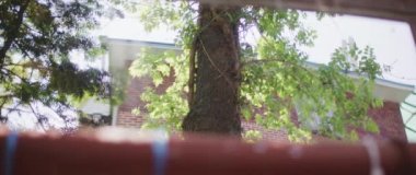 Seul, Güney Kore 'deki kırmızı metalik parmaklıkların arkasından görünen yeşil bir ağacın seçici odağı.