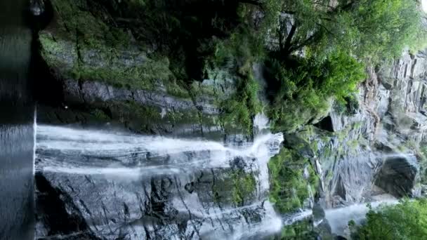 Une Vue Panoramique Une Cascade Milieu Forêt — Video