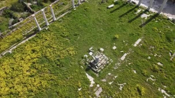 Letecký Pohled Ruiny Salamis Famagustě Severní Kypr — Stock video